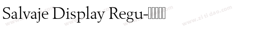 Salvaje Display Regu字体转换
